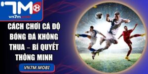 Cách Chơi Cá Độ Bóng Đá Không Thua