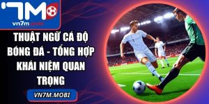 Thuật Ngữ Cá Độ Bóng Đá