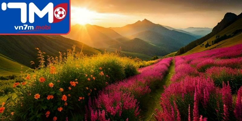 Trải nghiệm thiên nhiên giúp giải tỏa tâm lý